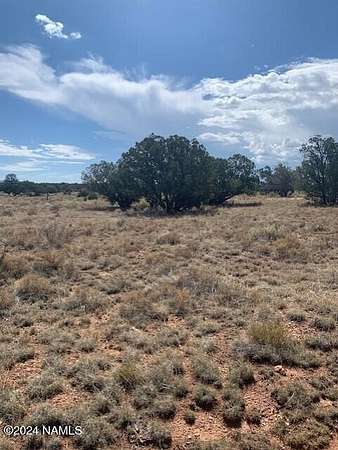 1 Acre of Land for Sale in Williams, Arizona