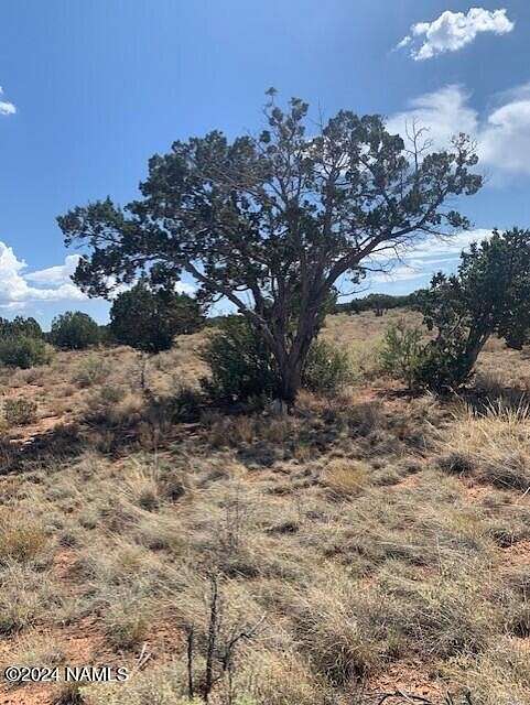 1.04 Acres of Land for Sale in Williams, Arizona