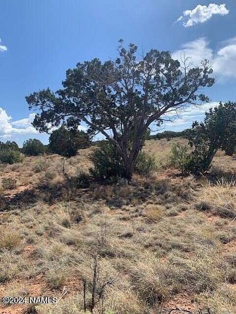 1 Acre of Land for Sale in Williams, Arizona