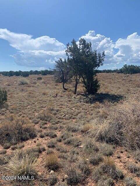 1.03 Acres of Land for Sale in Williams, Arizona