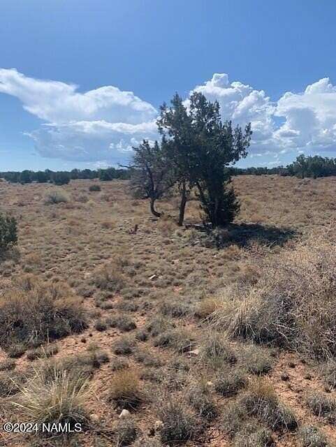 1 Acre of Land for Sale in Williams, Arizona