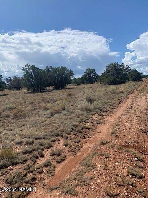 1.04 Acres of Land for Sale in Williams, Arizona