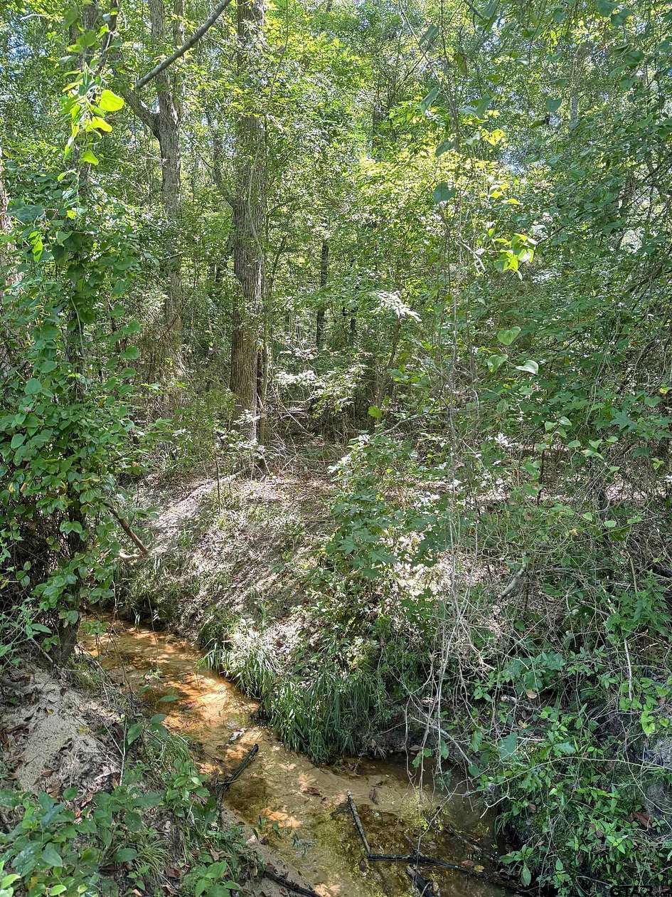 12.743 Acres of Recreational Land for Sale in Pittsburg, Texas