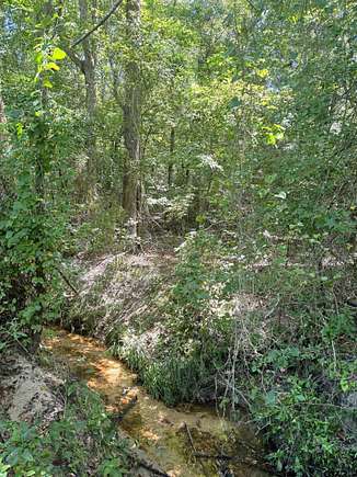 12.743 Acres of Recreational Land for Sale in Pittsburg, Texas