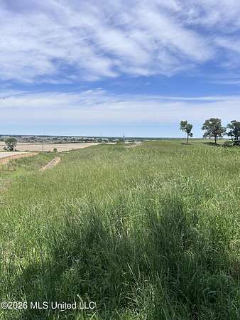 154 Acres of Land for Sale in Walls, Mississippi