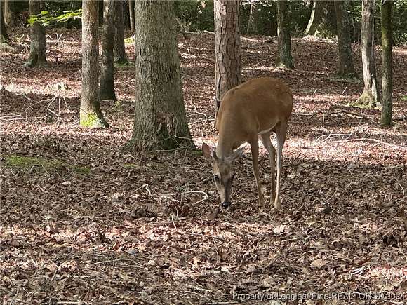 0.39 Acres of Residential Land for Sale in Sanford, North Carolina