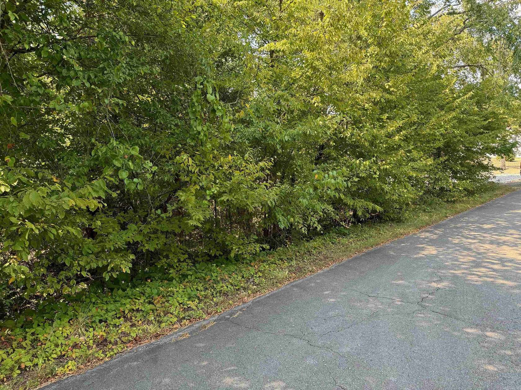 0.25 Acres of Residential Land for Sale in Hot Springs Village, Arkansas