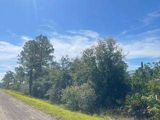 0.4 Acres of Residential Land for Sale in Lake Placid, Florida