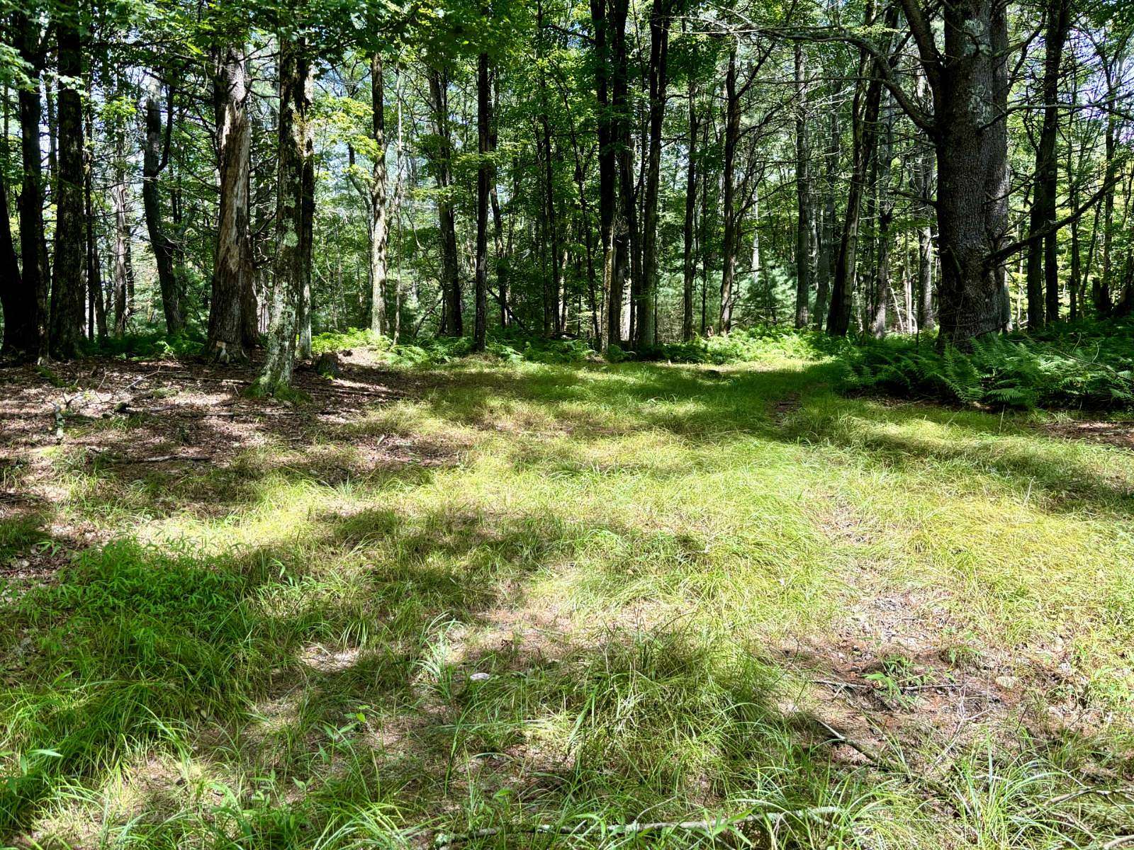 5.14 Acres of Residential Land for Sale in Bethel, New York