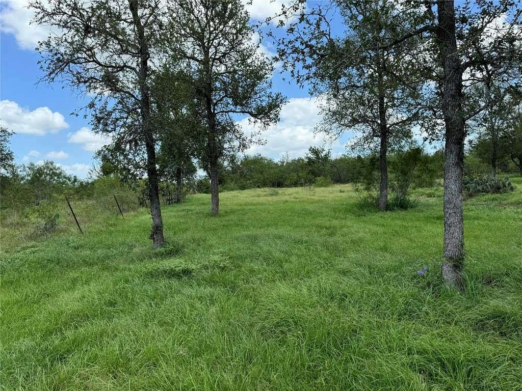 Land for Sale in Dale, Texas