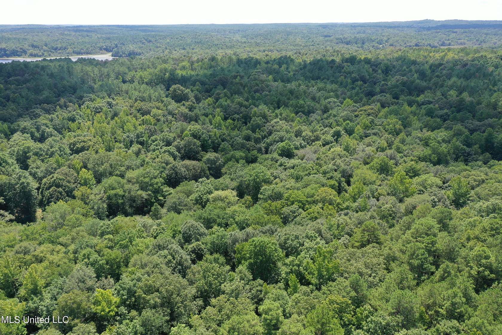 11.5 Acres of Recreational Land for Sale in Ashland, Mississippi