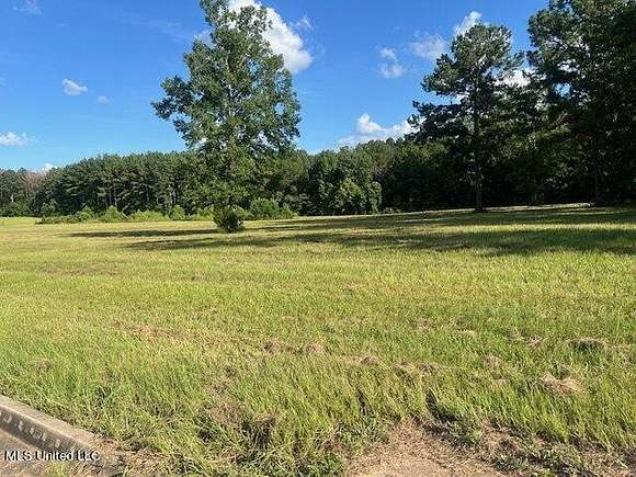 1 Acre of Commercial Land for Sale in Brandon, Mississippi