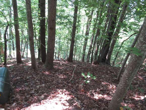 0.54 Acres of Residential Land for Sale in Pickens, South Carolina