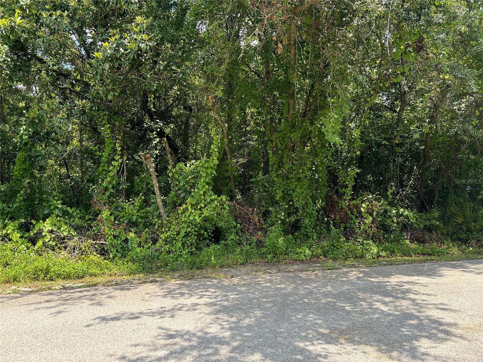 0.17 Acres of Residential Land for Sale in New Port Richey, Florida