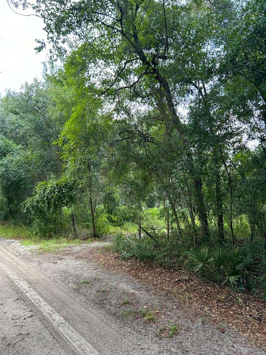 0.85 Acres of Residential Land for Sale in Ocklawaha, Florida