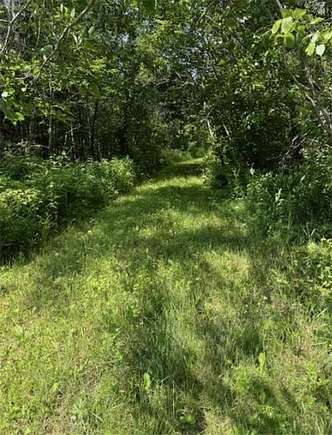 44.54 Acres of Recreational Land for Sale in Grand Marais, Minnesota