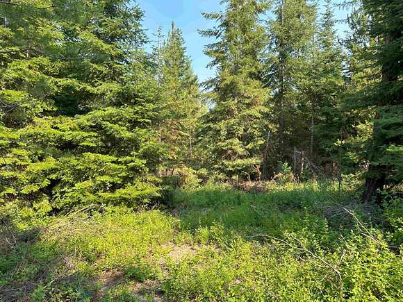 40 Acres of Recreational Land for Sale in Wellpinit, Washington