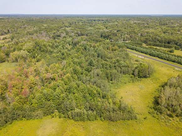 73.95 Acres of Recreational Land for Sale in Necedah, Wisconsin