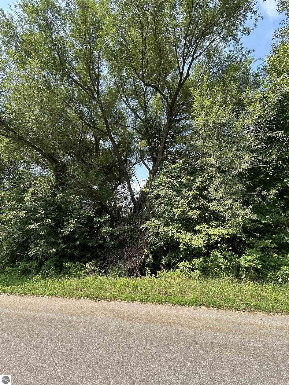 0.5 Acres of Residential Land for Sale in Alger, Michigan