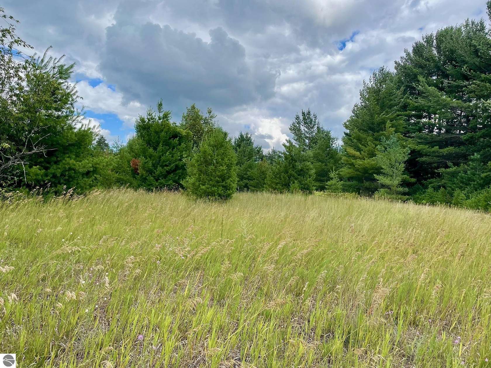 4.24 Acres of Residential Land for Sale in Kalkaska, Michigan