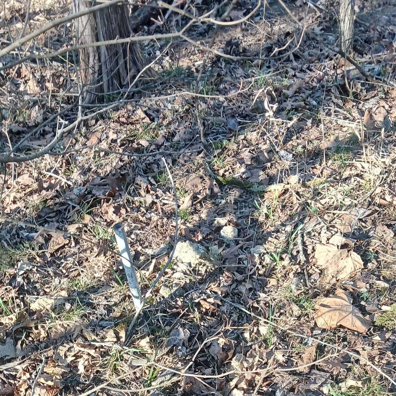 0.44 Acres of Land for Sale in Theodosia, Missouri