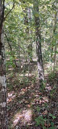 0.44 Acres of Residential Land for Sale in Theodosia, Missouri