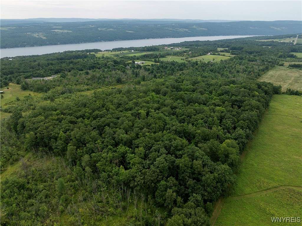 40 Acres of Land for Sale in Pulteney, New York