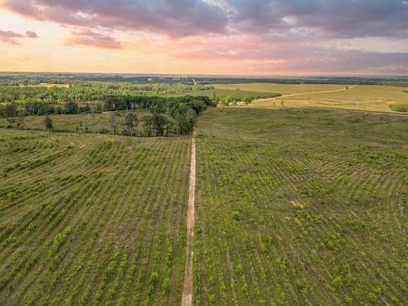 1,041 Acres of Recreational Land with Home for Sale in Edwin, Alabama