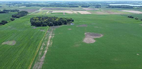 232.5 Acres of Land for Sale in Albert Lea, Minnesota