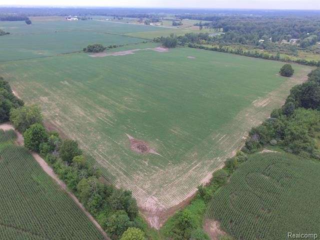 40 Acres of Agricultural Land for Sale in Emmett, Michigan