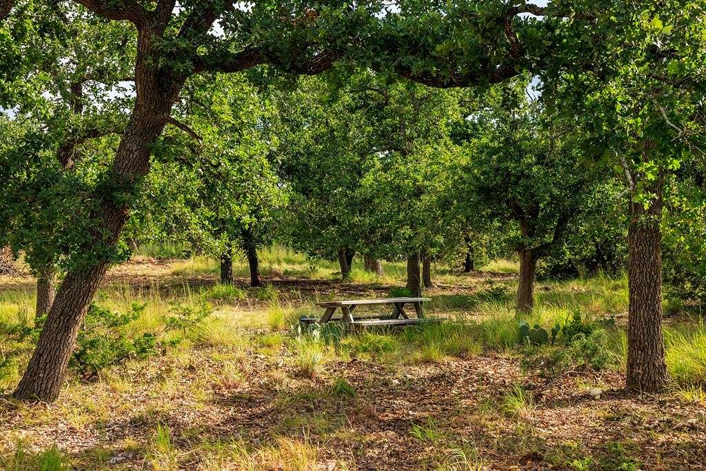 10.09 Acres of Land for Sale in Fredericksburg, Texas