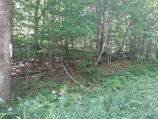 5.22 Acres of Residential Land for Sale in Fallsburg, New York