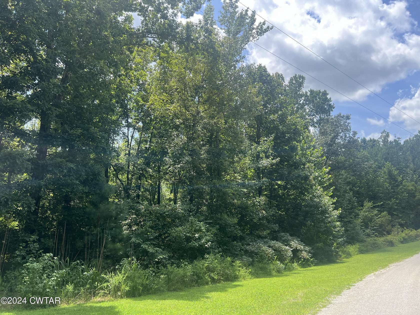 1.2 Acres of Residential Land for Sale in Cedar Grove, Tennessee