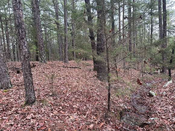 5 Acres of Recreational Land for Sale in Moyers, Oklahoma