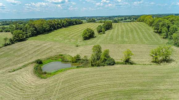 20 Acres of Agricultural Land for Sale in Carlisle, Kentucky