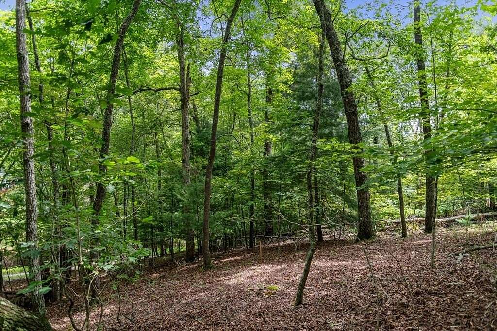 2.25 Acres of Land for Sale in Mineral Bluff, Georgia