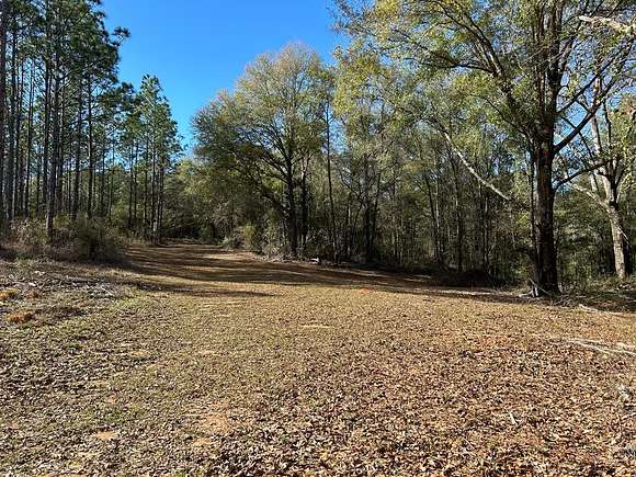 23.79 Acres of Recreational Land for Sale in Hartford, Alabama