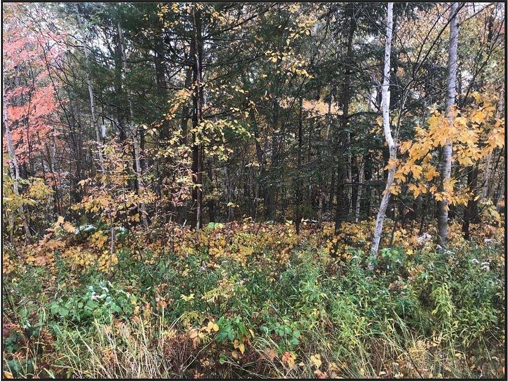 5 Acres of Land for Sale in Apple River Town, Wisconsin