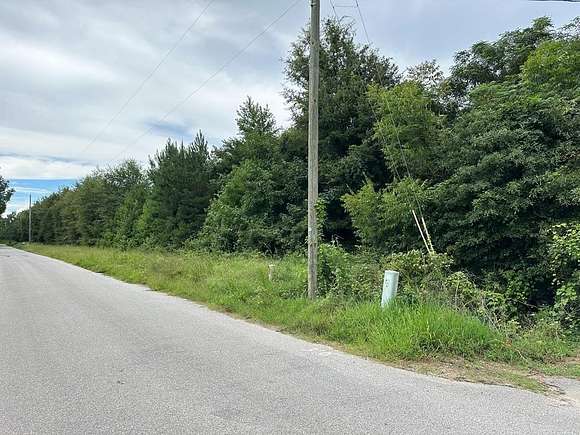 4.88 Acres of Residential Land for Sale in Eutawville, South Carolina