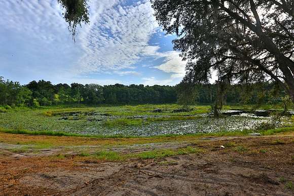 11.64 Acres of Land for Sale in Weirsdale, Florida