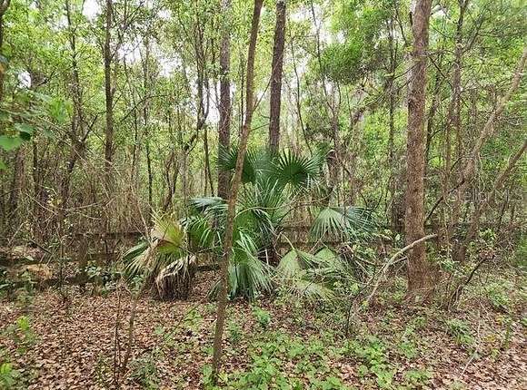 3 Acres of Land for Sale in Weirsdale, Florida