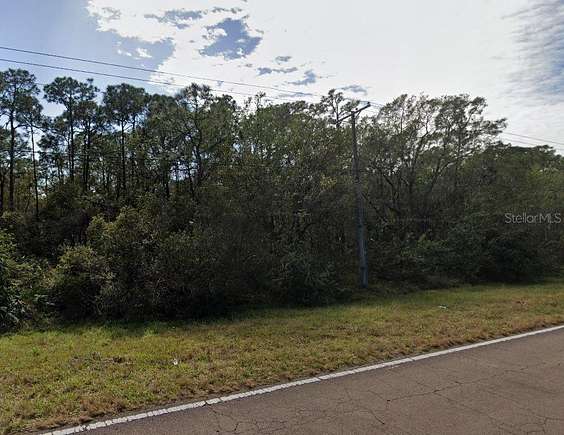 11.89 Acres of Land for Sale in Ruskin, Florida