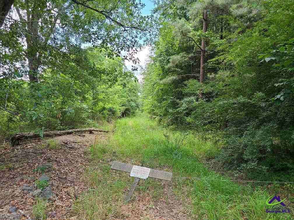 31.37 Acres of Recreational Land for Sale in Fort Valley, Georgia