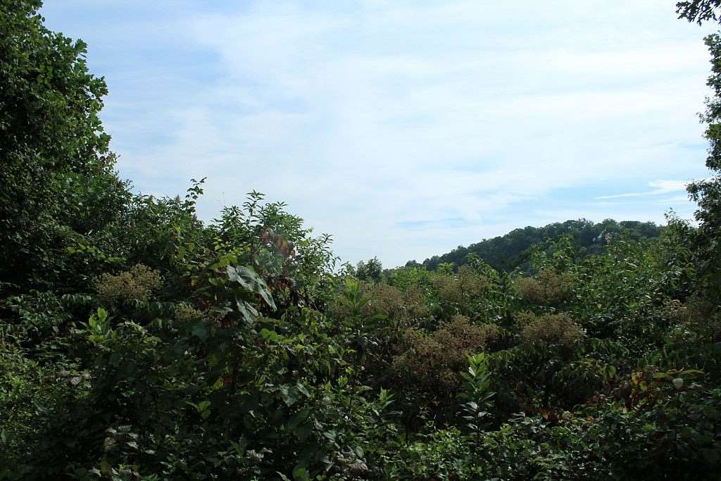 1.16 Acres of Residential Land for Sale in Hayesville, North Carolina
