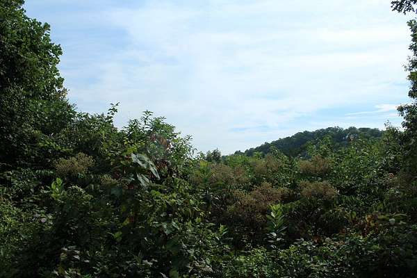 1.16 Acres of Residential Land for Sale in Hayesville, North Carolina