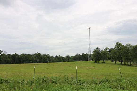 40 Acres of Agricultural Land for Sale in Newton, Texas