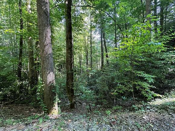 Land for Sale in Stecoah, North Carolina