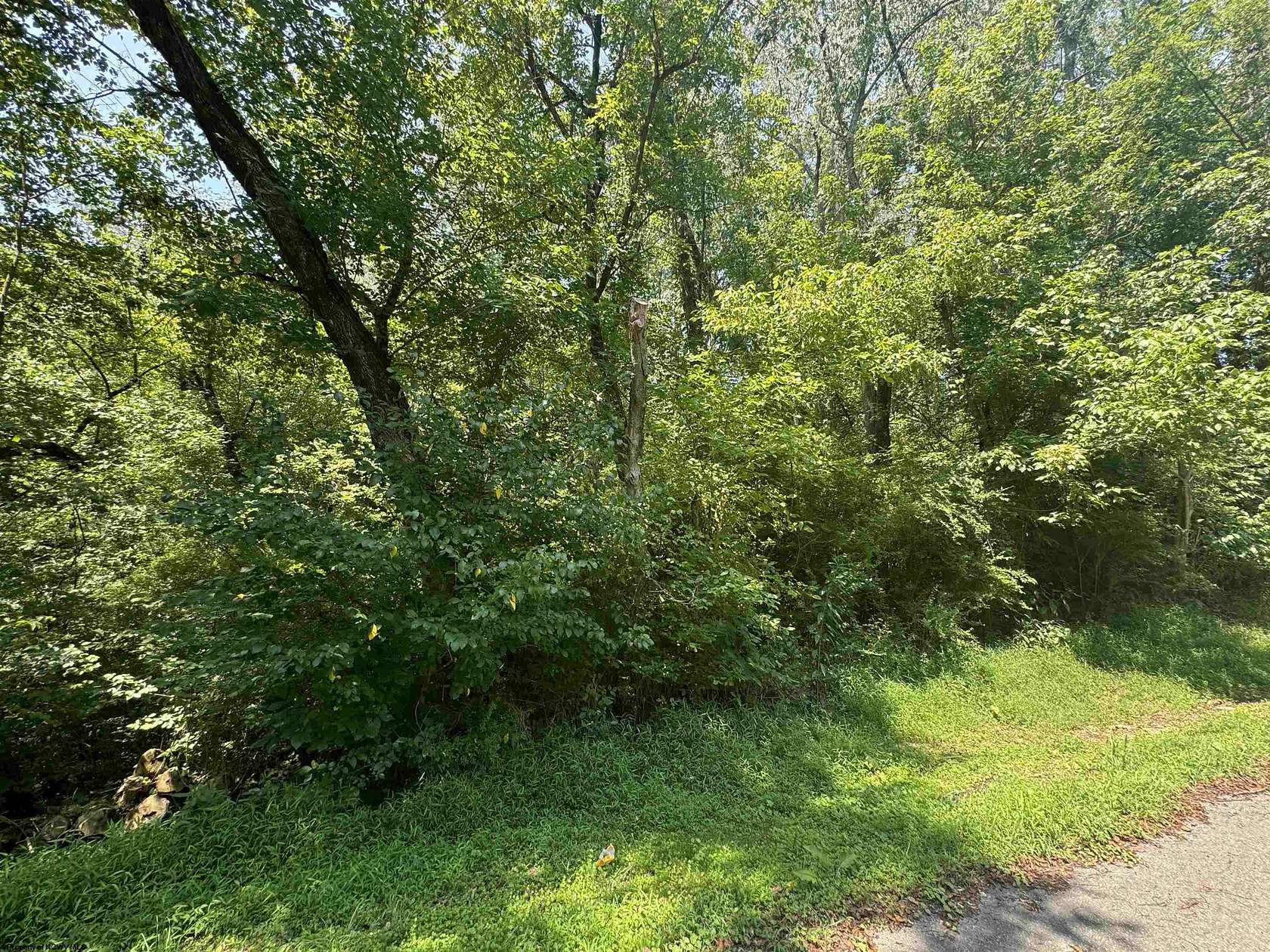 0.18 Acres of Residential Land for Sale in Fairmont, West Virginia