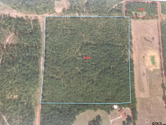 40 Acres of Recreational Land for Sale in Pittsburg, Texas