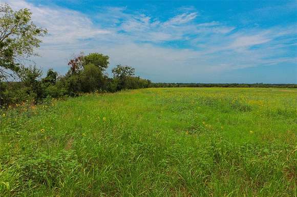 167.01 Acres of Agricultural Land for Sale in Valley Mills, Texas